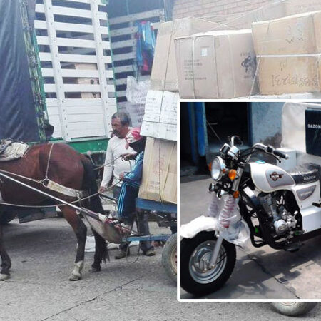 Programa Sustitución de  Vehículos de Tracción Animal  por Unidades Productivas  y/o Equipos y Vehículos a  Población Vulnerable.